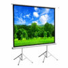Màn chiếu 3 chân Dalite PW150TS