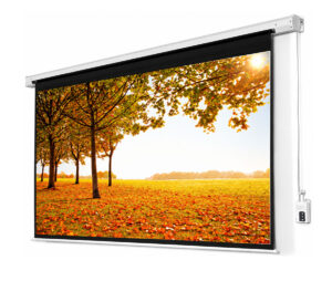 Màn chiếu điện Dalite PW150ES