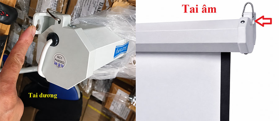 Màn chiếu treo tường Dalite P60WS