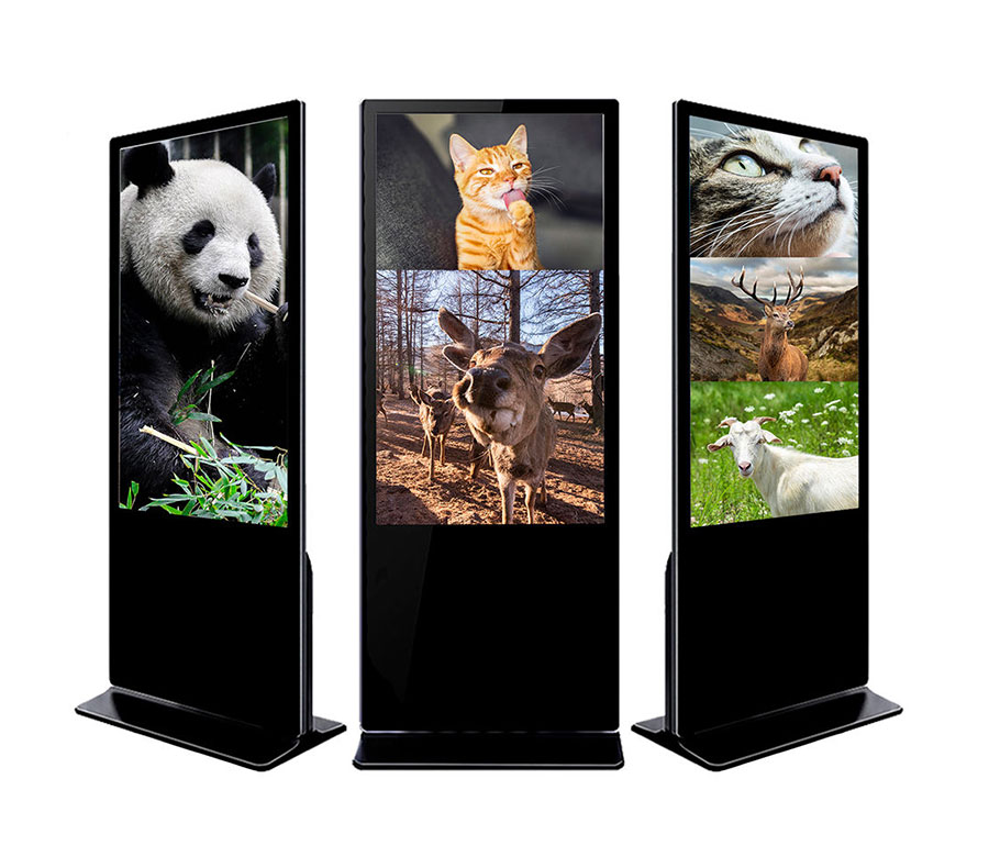 Màn hình quảng cáo chân đứng MekVision MA65FST